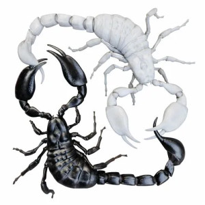 IJsland (White Vinyl)