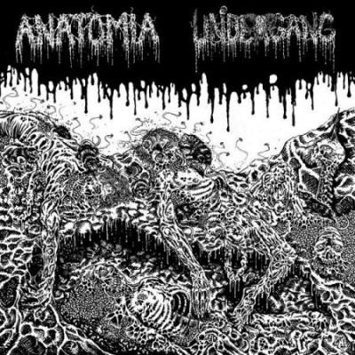 Anatomia / Undergang
