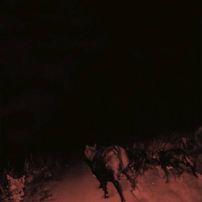 Shadow On Everything (White Vinyl)