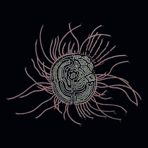 Bearings: Soundtracks for the Bardos