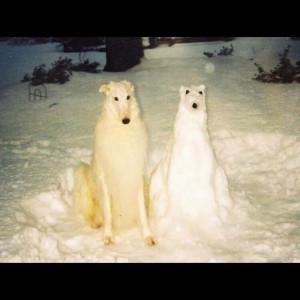 Boyhood (Splatter Vinyl)