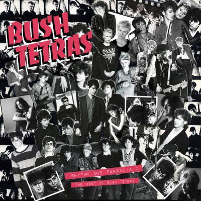 Rhythm And Paranoia: The Best Of Bush Tetras