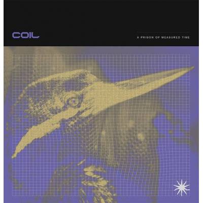 A Prison Of Measured Time