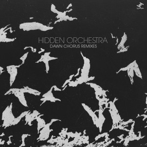 Dawn Chorus Remixes (Splatter Vinyl)