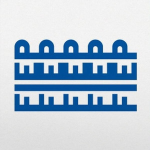 Fried Rice, Moon Bliss (Blue Vinyl)