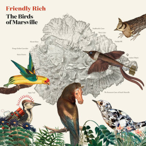 The Birds of Marsville