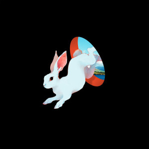 Animal Hospital (Blue Vinyl)