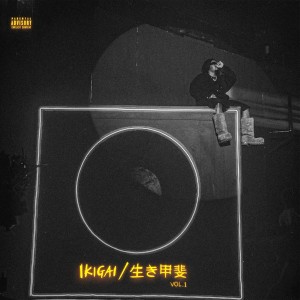 Ikigai, Vol. 1 (Silver/Black Vinyl)