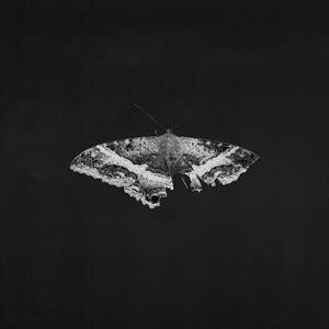 To Pimp a Butterfly (10 Year Anniversary Edition) (Grey Marbled Vinyl)
