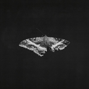 To Pimp a Butterfly (10 Year Anniversary Edition) (Graphite Vinyl)