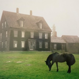 The Academy (Green Vinyl)