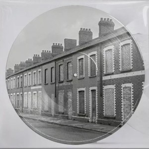 Critical Thinking (Picture Disc)