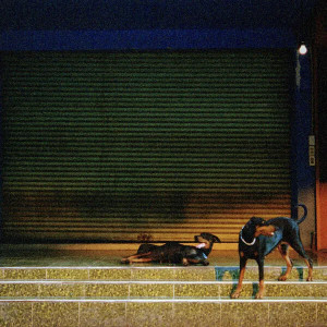 Pure Devotion (Blue/White Vinyl)