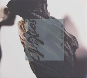 The Night the Zombies Came