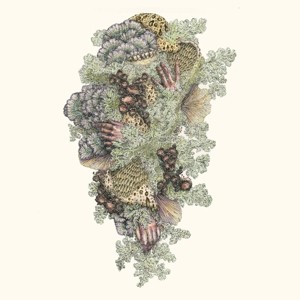 Monuments to Impermanence