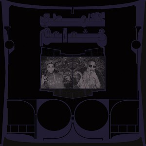 Exotic Birds of Prey