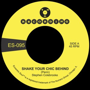 Shake Your Chic Behind b/w Stay Away From Music (Green Vinyl)