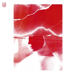 Siamo Tutti In Pericolo