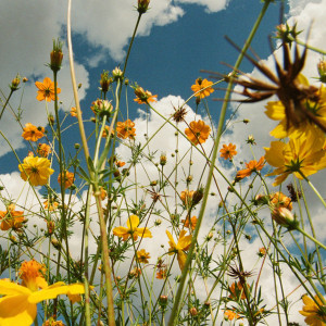 You Are Spring! (Yellow Vinyl)