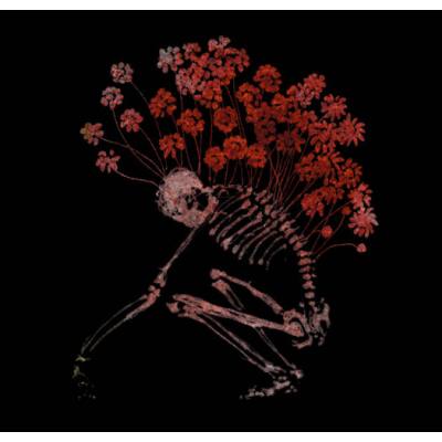 Folk Aesthetic 1996-2006