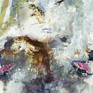 Tail Swallower and Dove (Orange Vinyl)