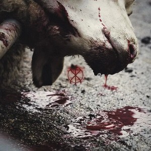 Director's Cuts (Red Dot Sight Vinyl)