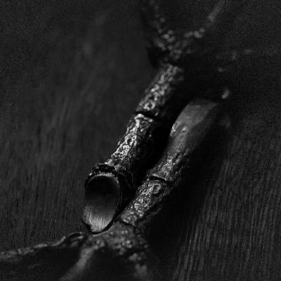 Algir Eller Algir I Merkstave