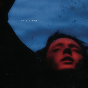 In a Dream (Red/Blue Vinyl)