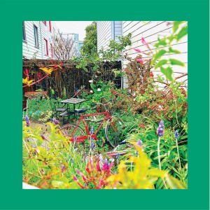 Unwishing Well (White Vinyl)